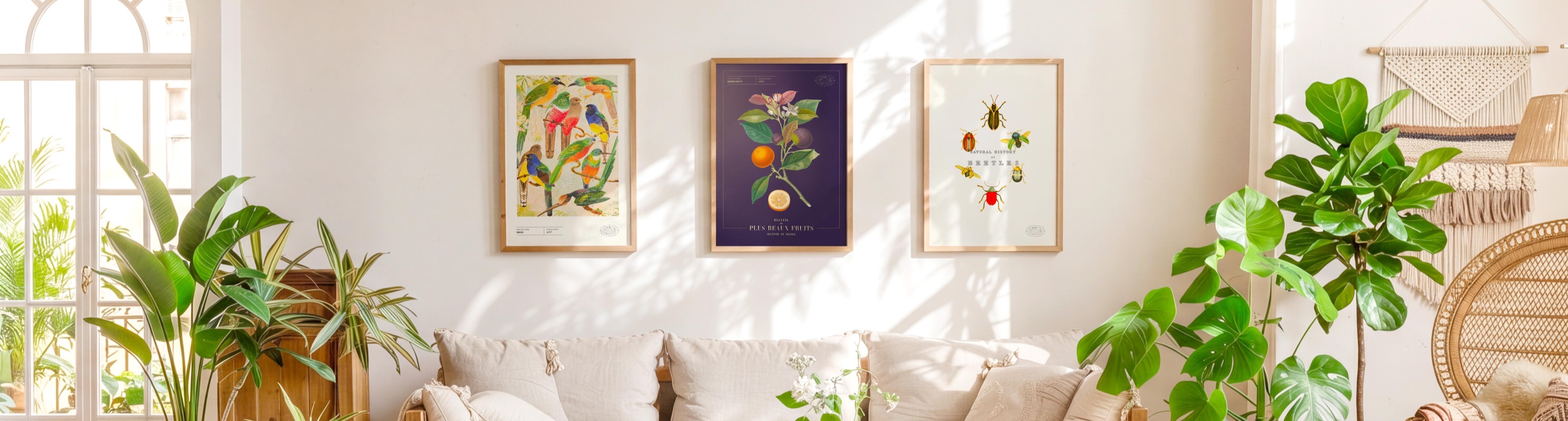 Salon lumineux : trois affiches Tabulae Vitae encadrées au-dessus d’un canapé